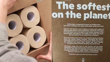 Plant Paper bamboo toilet paper